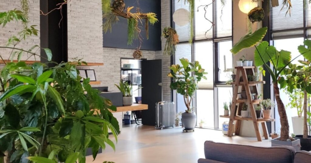 ジュニビノホテル荷物預かり